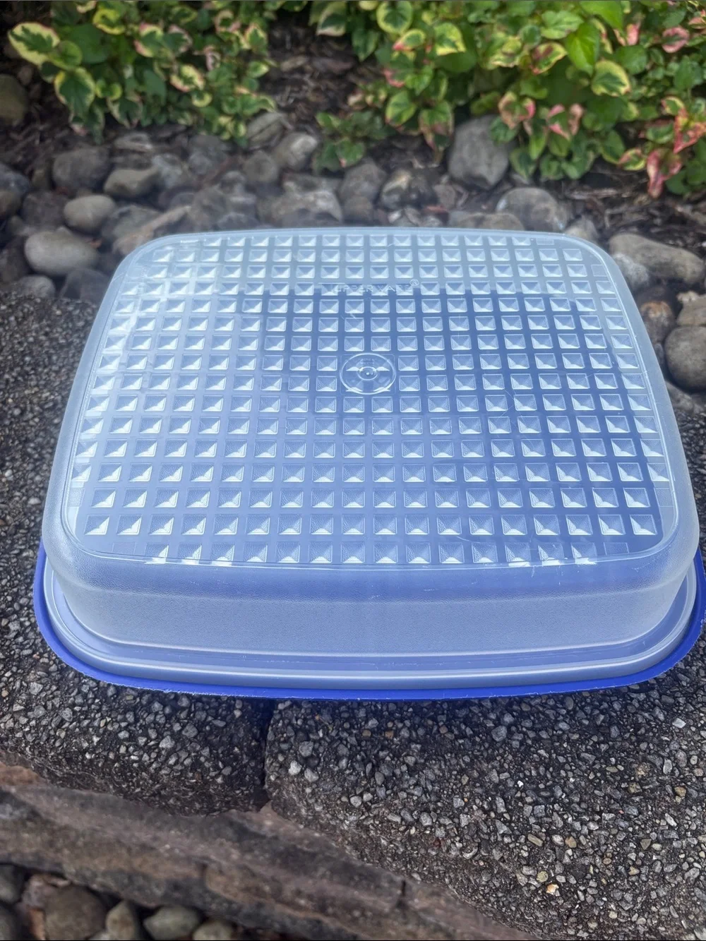 Vintage Tupperware Season-Serve Blue Marinating Container. AKA “The Marinator”